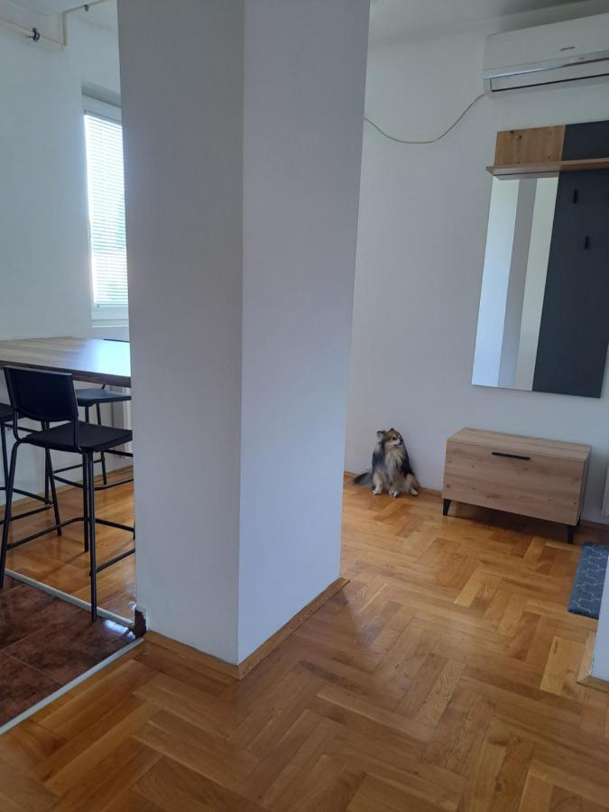 Apartman Zvezdica -Smederevo, Netflix Exterior foto